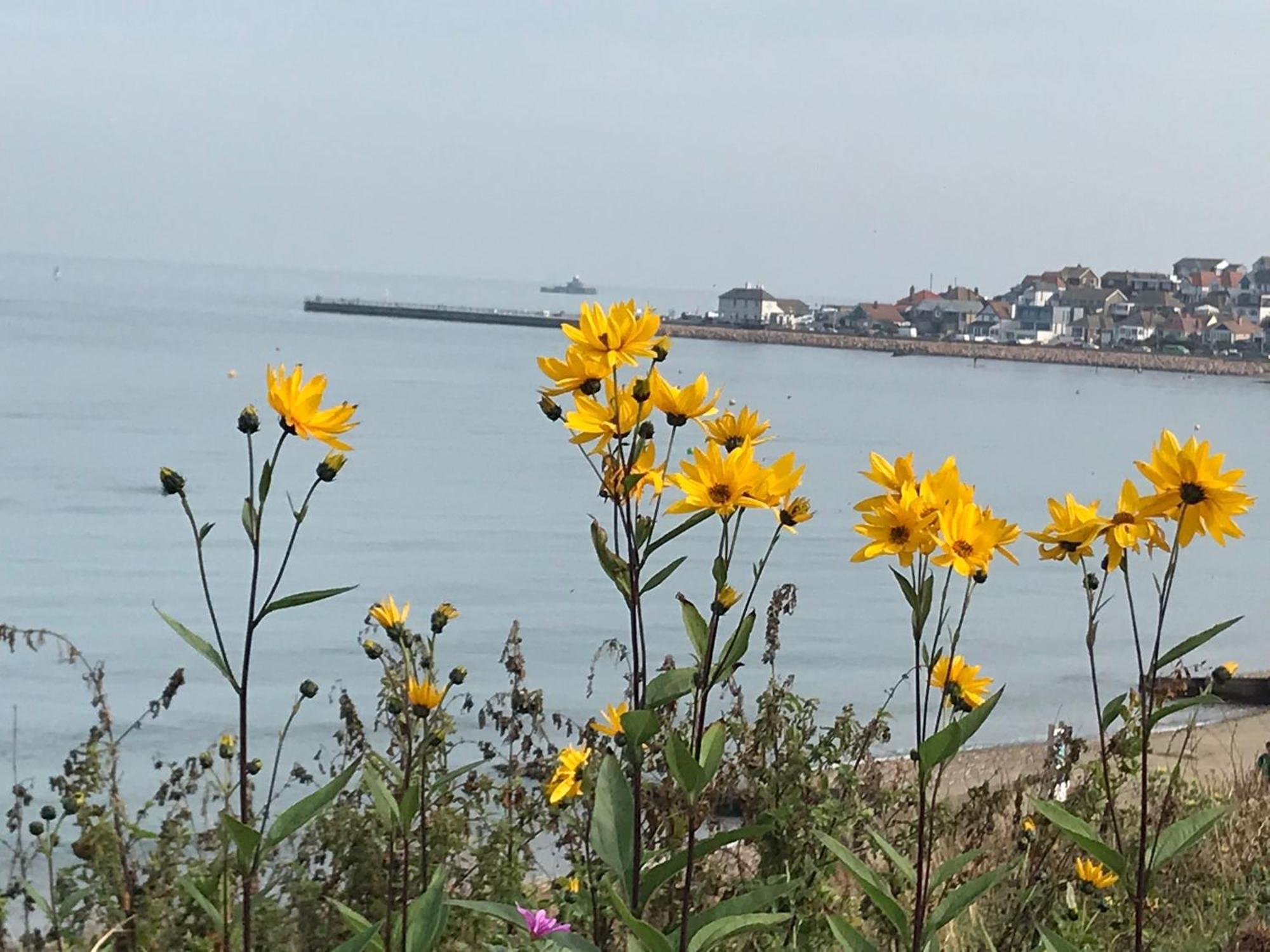 Once Upon A Tide Apartment Herne Bay Luaran gambar